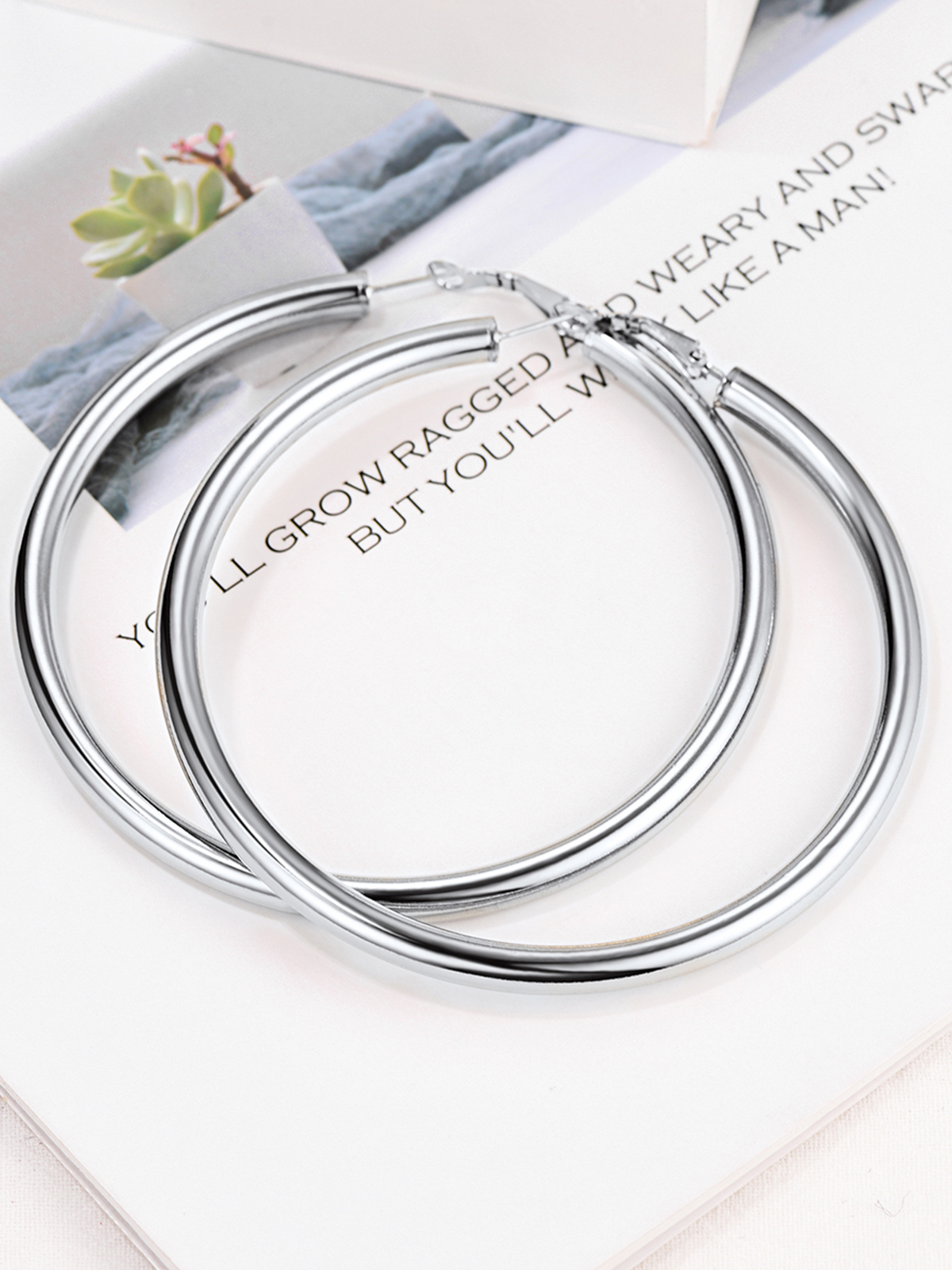 Chunky Hoop Earrings in Stainless