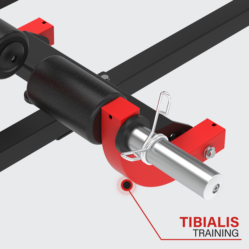 HVO 2 in 1 Seated Calf Raise Tibialis Trainer  Machine 