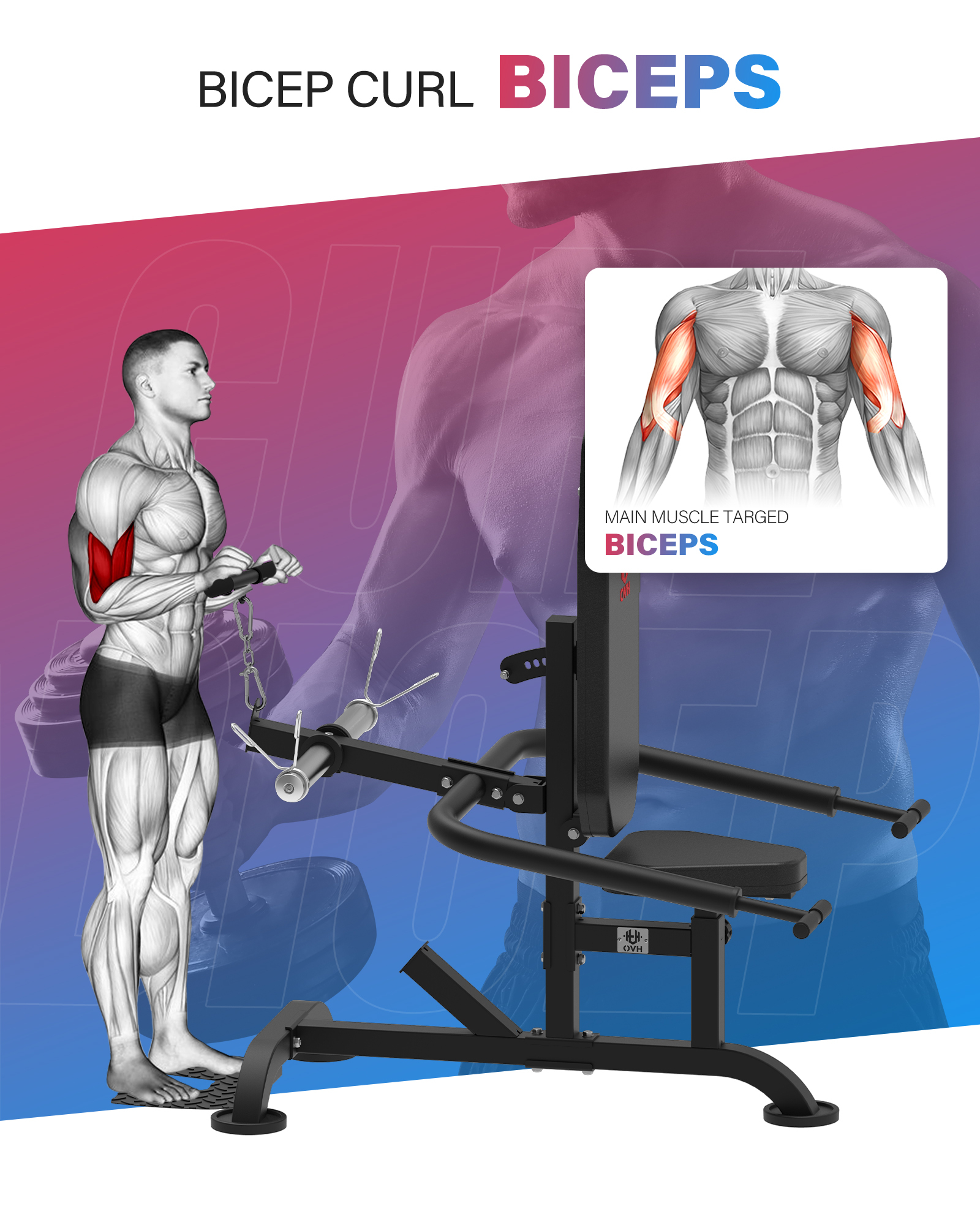 HVO Seated Dip Machine Tricep: Dip Machine Exercise for Biceps Plate Loaded UPGRADED