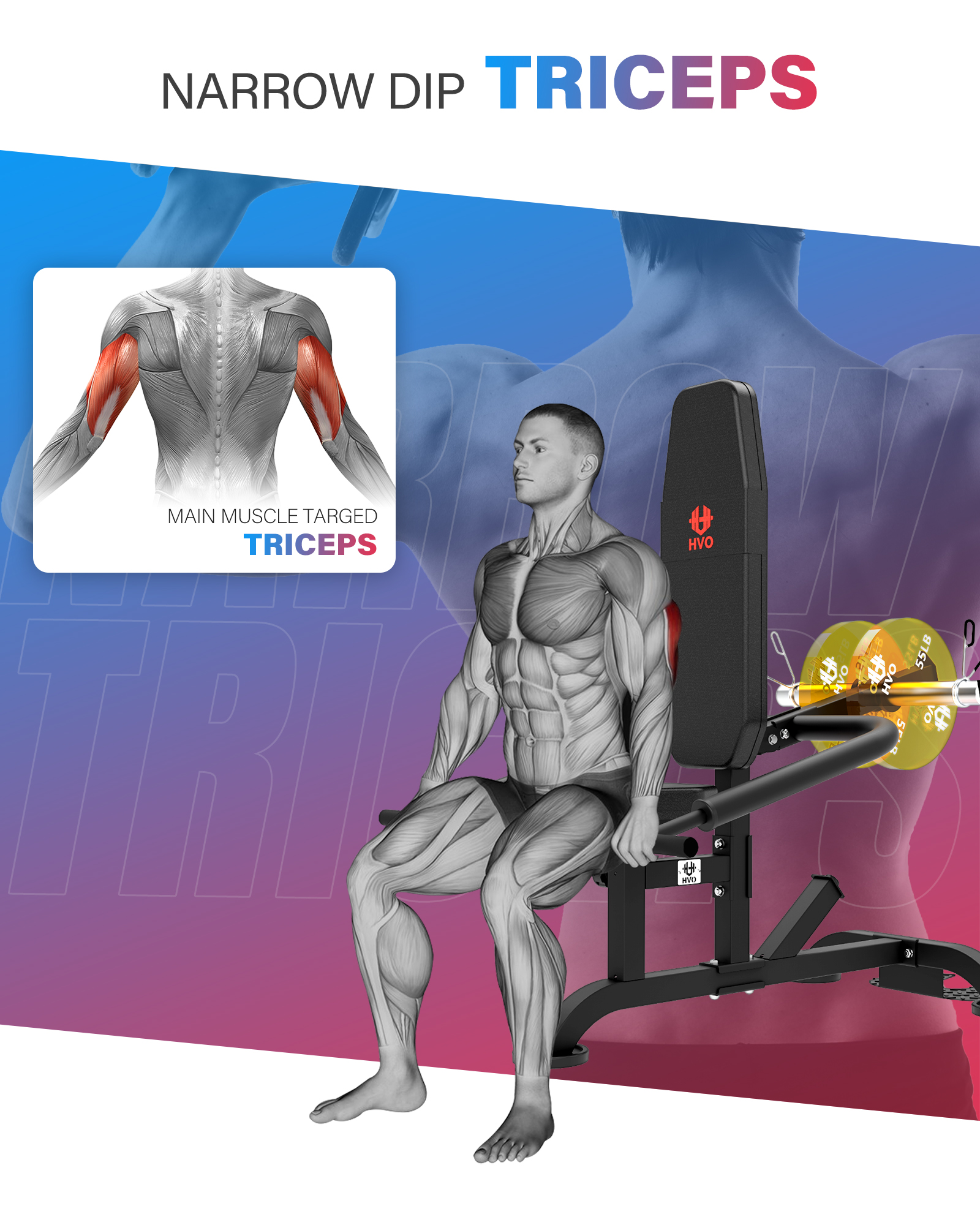 HVO Seated Dip Machine Tricep: Dip Machine Exercise for Biceps Plate Loaded UPGRADED