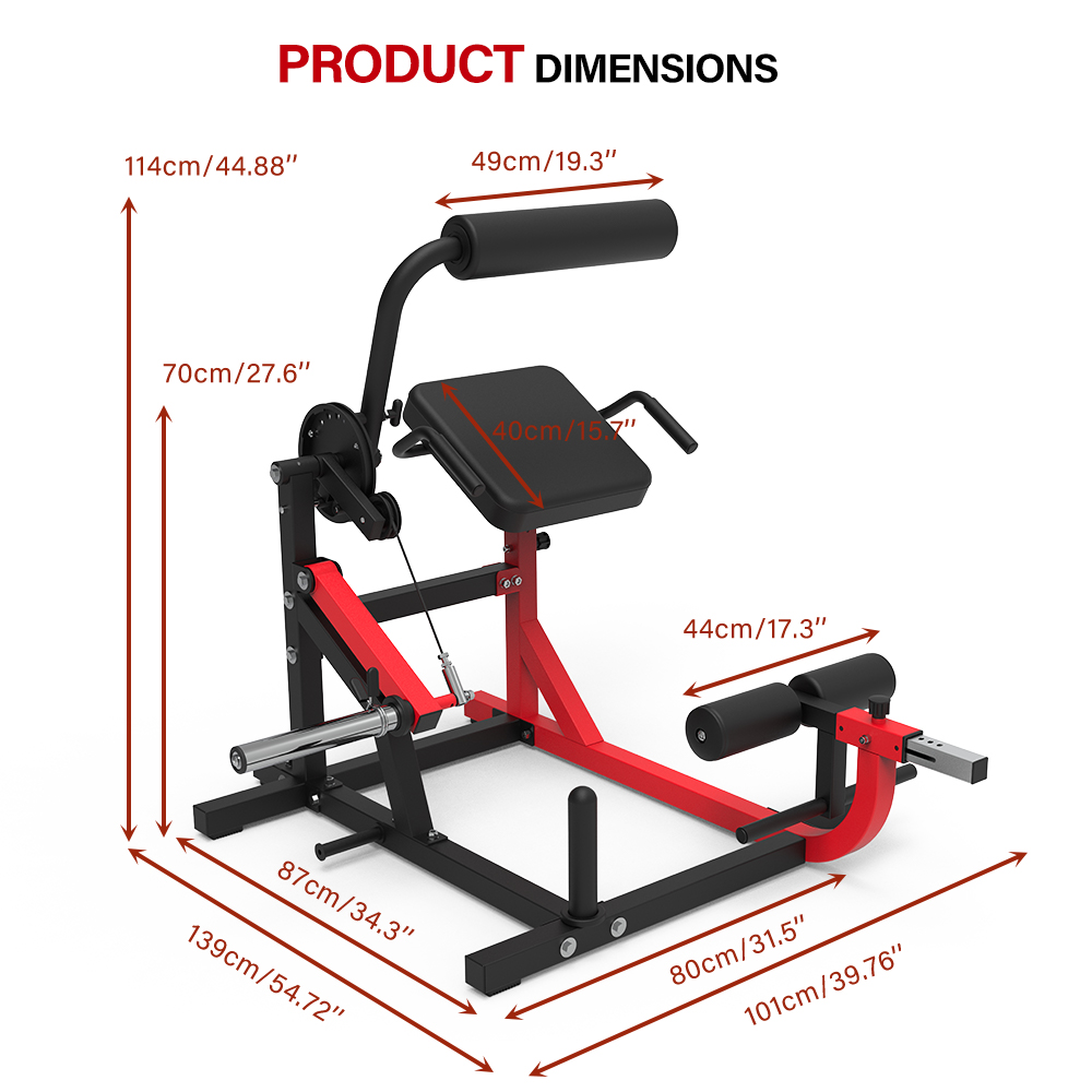 HVO AB Crunch Back Extension Machine ABB01