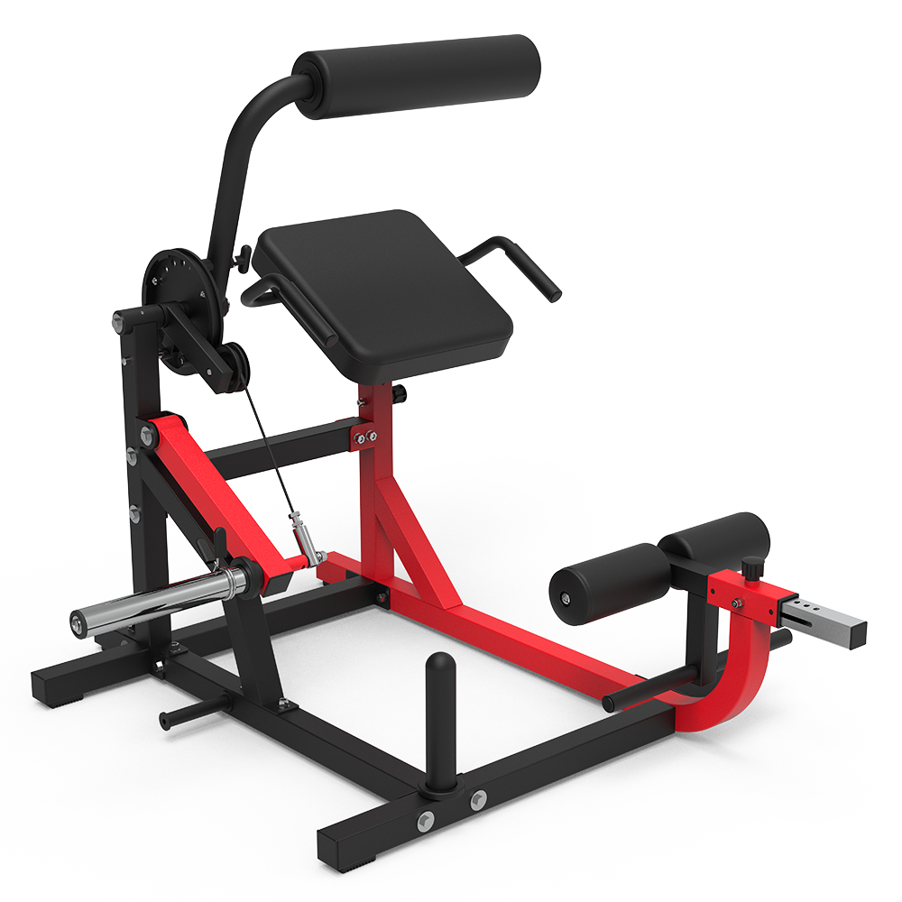 HVO AB Crunch Back Extension Machine ABB01