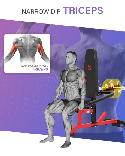 HVO Seated Dip Machine Tricep: Dip Machine Exercise for Biceps Plate Loaded 