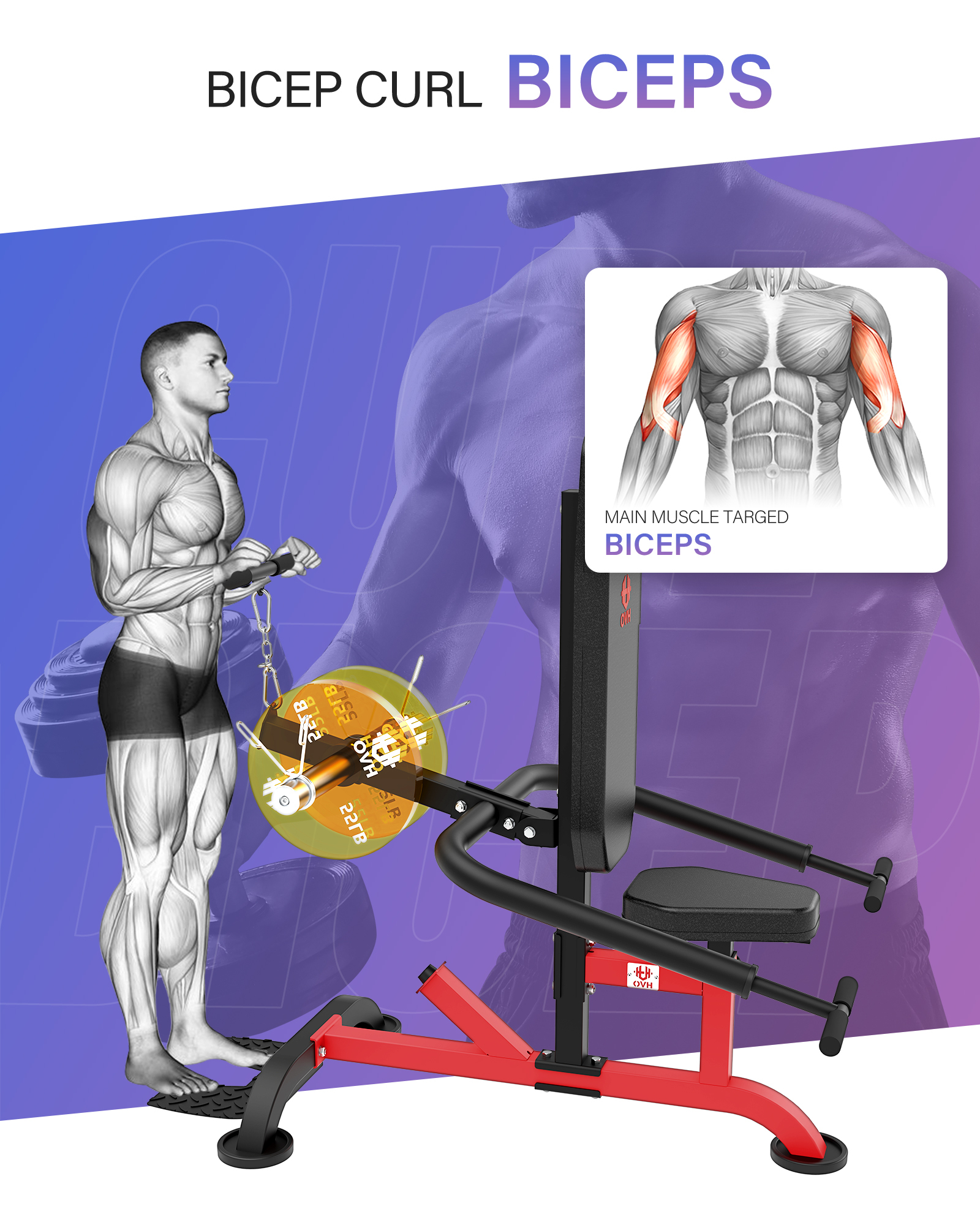 HVO Seated Dip Machine Tricep: Dip Machine Exercise for Biceps Plate Loaded 