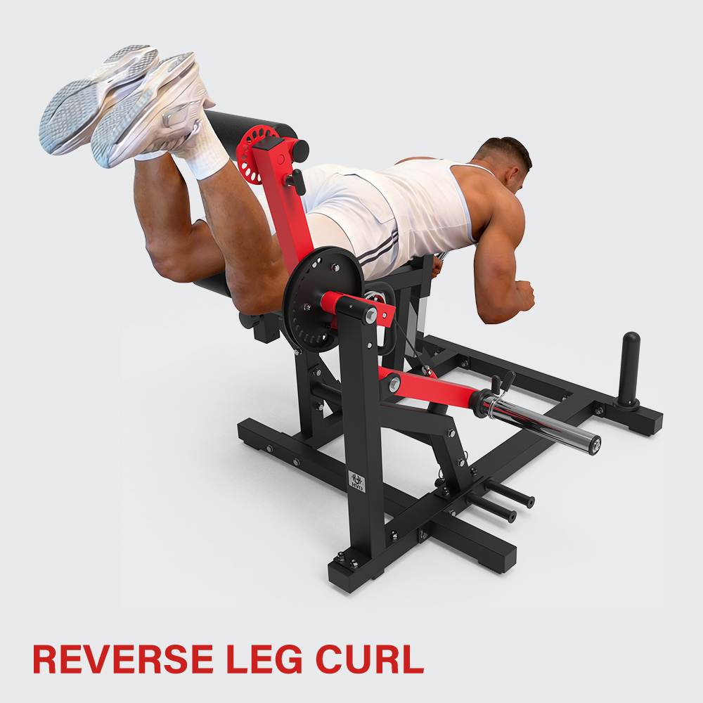 HVO Leg Extension and Curl Machine JSLC205