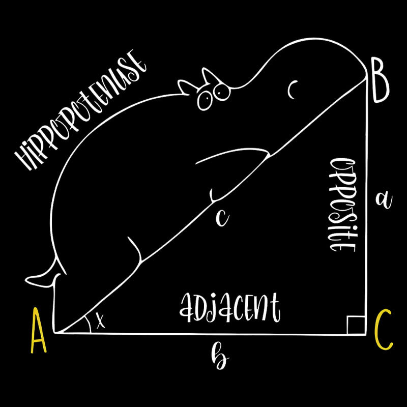 Interesting Math Geek T-Shirt