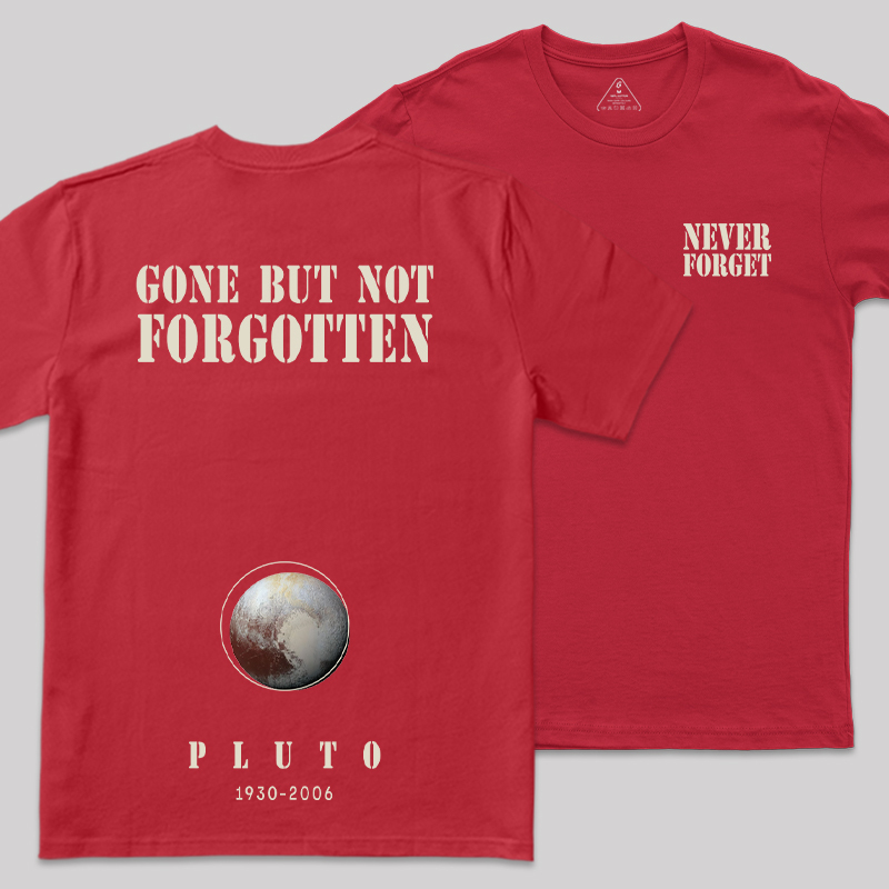 Never Forgot Front and Back Printing Geek T-Shirt