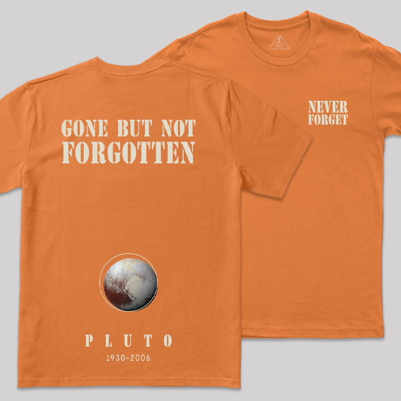 Never Forgot Front and Back Printing Geek T-Shirt