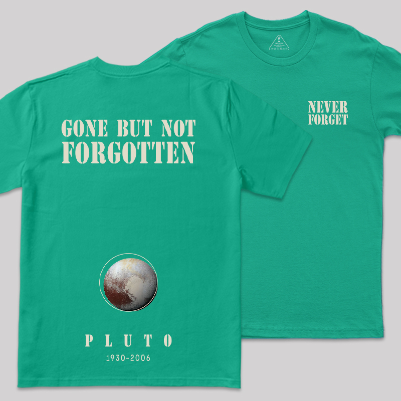 Never Forgot Front and Back Printing Geek T-Shirt