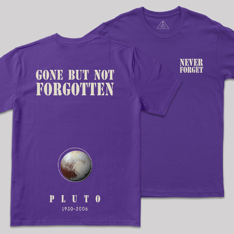 Never Forgot Front and Back Printing Geek T-Shirt