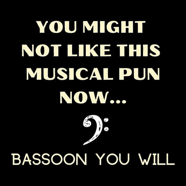 Funny Bassoon Music Pun Geek T-Shirt