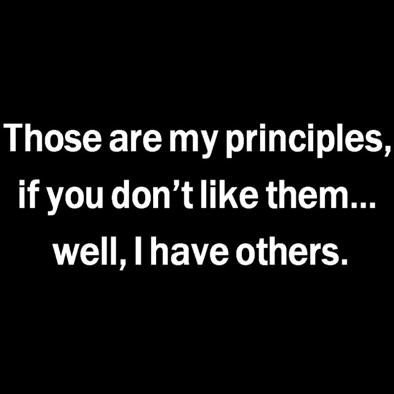 Well I Have Others Geek T-Shirt