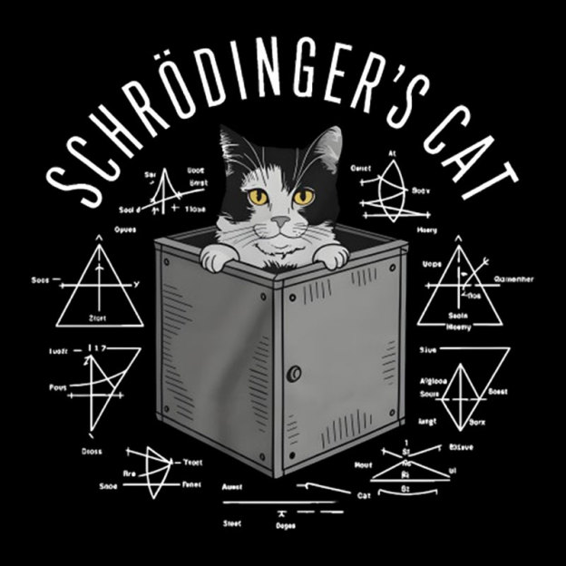Schrodinger Cat Formulas Geek T-Shirt