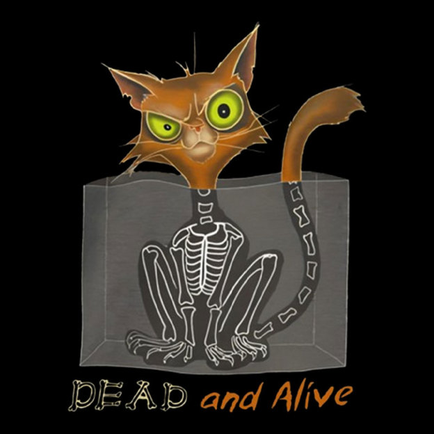 Schrodinger Cat Dead and Alive Geek T-Shirt