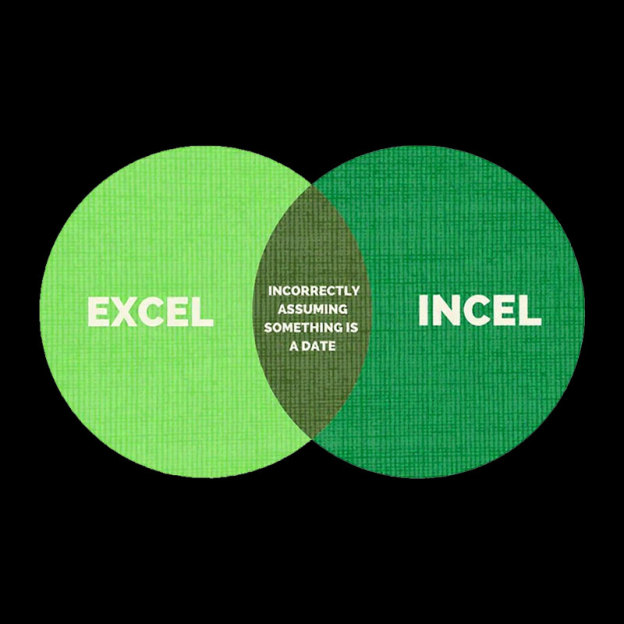 Excel Incel Venn Diagram Geek T-Shirt