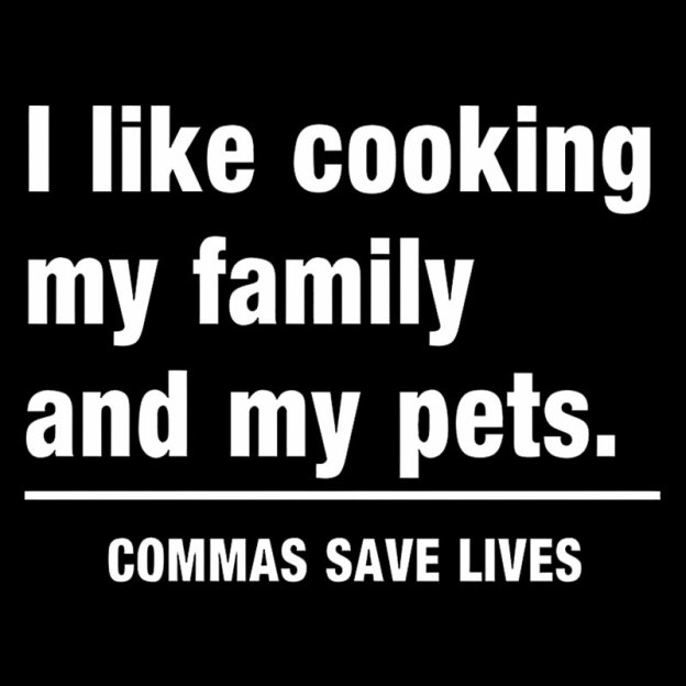 Commas Save Lives Geek T-Shirt