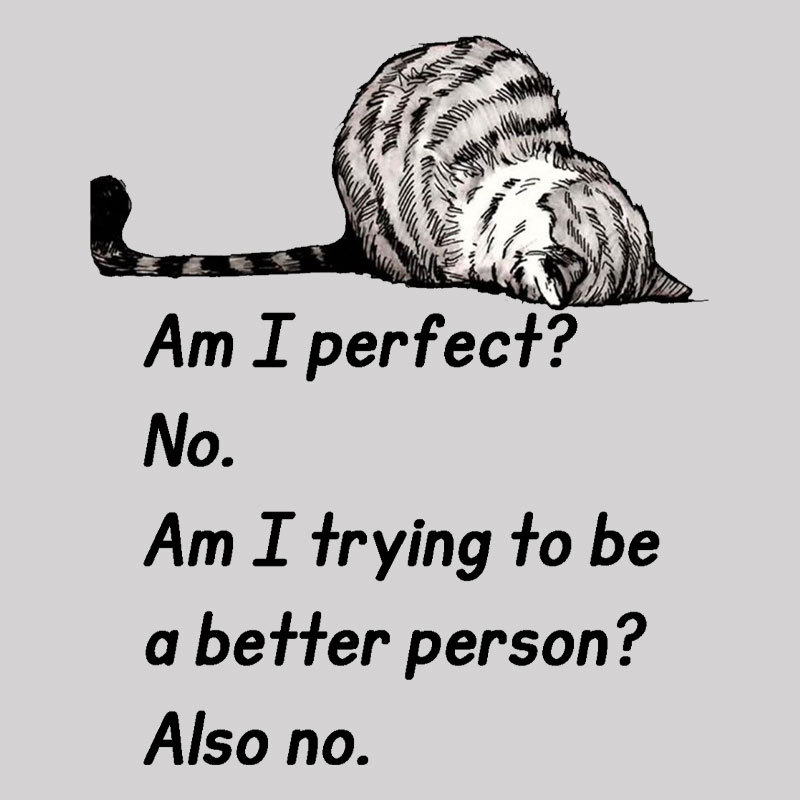 Am I Perfect No Geek T-Shirt