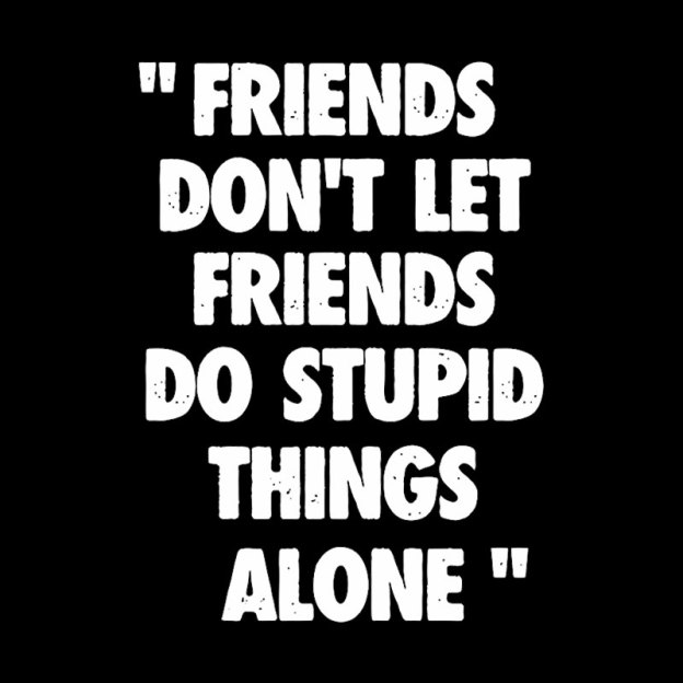 Friends Don't Let Friends Do Stupid Things Alone Geek T-Shirt