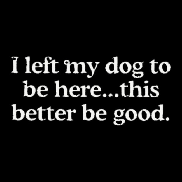 I left my dog ??here this better Geek T-Shirt