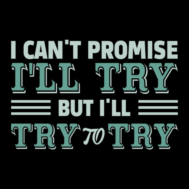 Promise To Try Geek T-Shirt