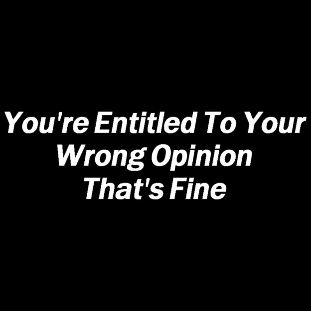 You're Entitled To Your Wrong Opinion Geek T-Shirt