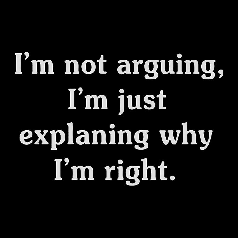 I Am Not Arguing Geek T-Shirt