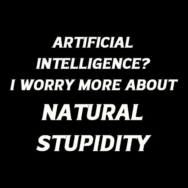 Natural Stupidity Geek T-Shirt