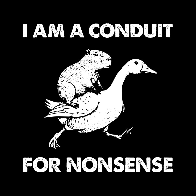 For Nonsense Geek T-Shirt