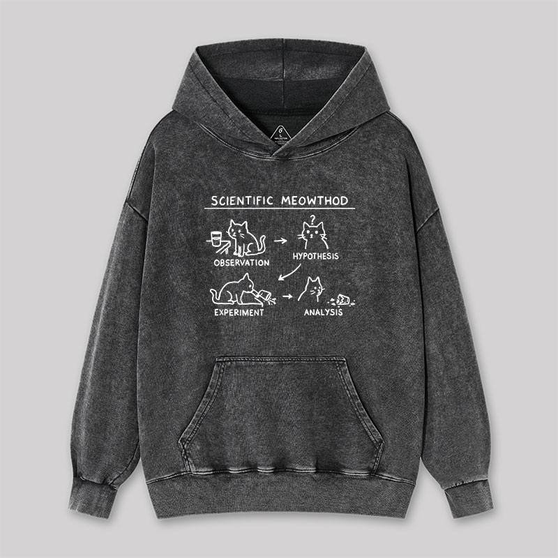 Scientific Meowthod Washed Hoodie