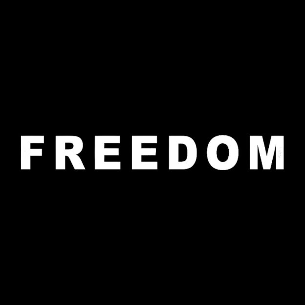 FREEDOM Geek T-Shirt