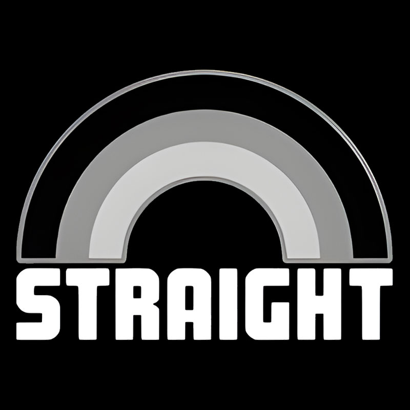 Straight Geek T-Shirt