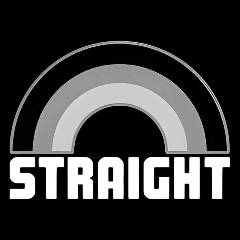 Straight Geek T-Shirt