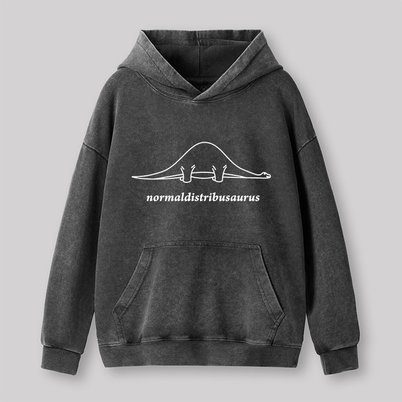 Normal Distribution Dinosaur Washed Hoodie