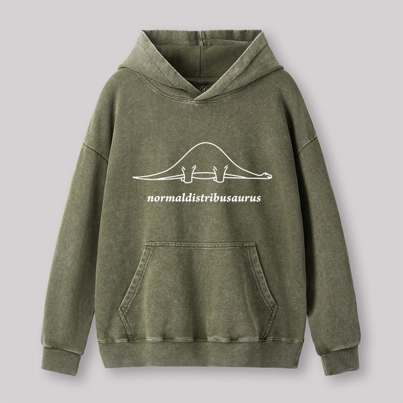 Normal Distribution Dinosaur Washed Hoodie