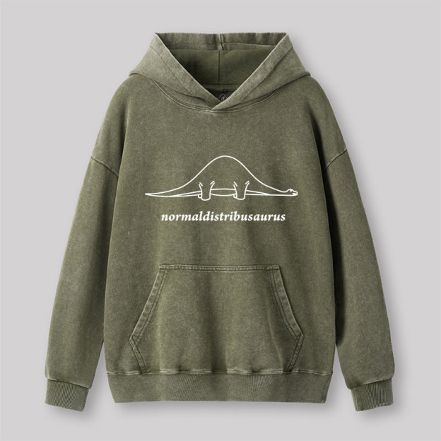 Normal Distribution Dinosaur Washed Hoodie