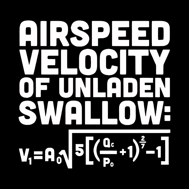 Airspeed Velocity of an Unladen Swallow Geek T-Shirt
