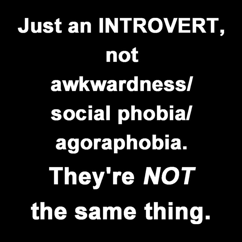 Introvert They're NOT the same thing. Geek T-Shirt