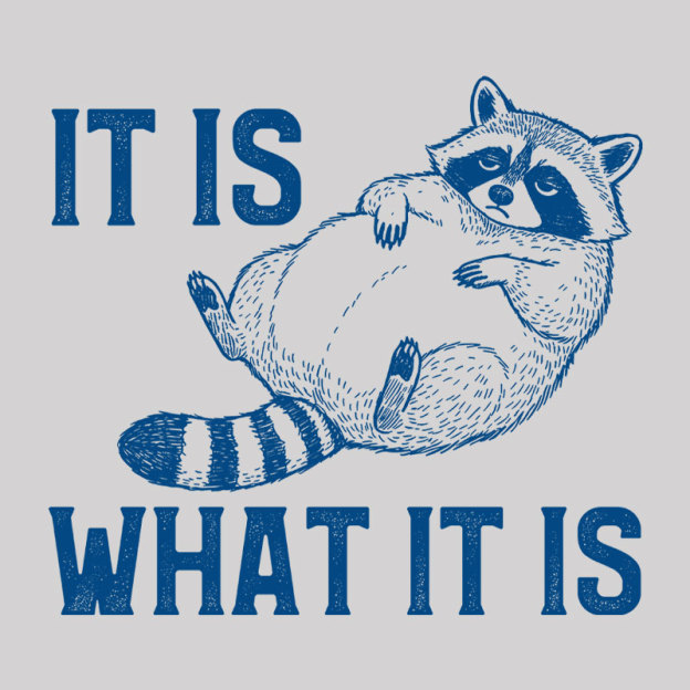 This Is What It Is Geek T-Shirt