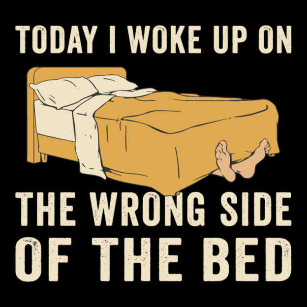 Wake Up On The Wrong Side Geek T-Shirt
