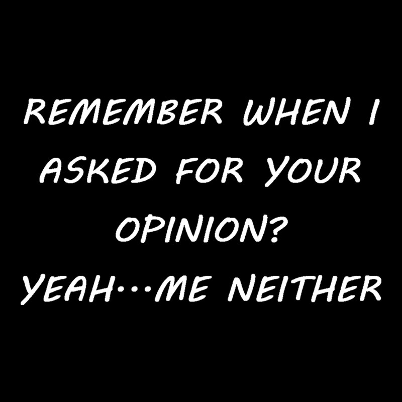 Remember When I Asked For Your Opinion Geek T-Shirt