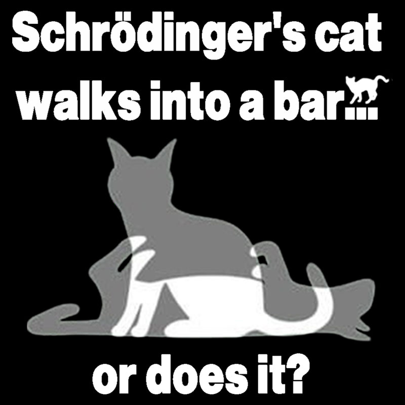 Schrodingers Cat Walks Into A Bar Geek T-Shirt
