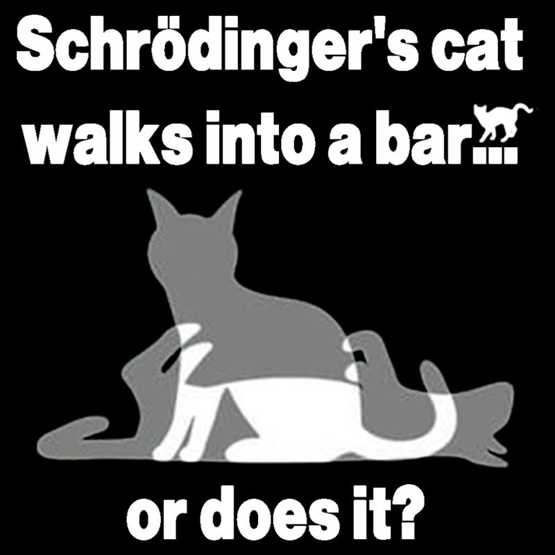 Schrodingers Cat Walks Into A Bar Geek T-Shirt