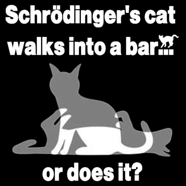 Schrodingers Cat Walks Into A Bar Geek T-Shirt