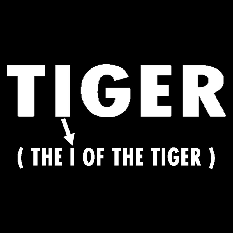 The I Of The Tiger Geek T-Shirt