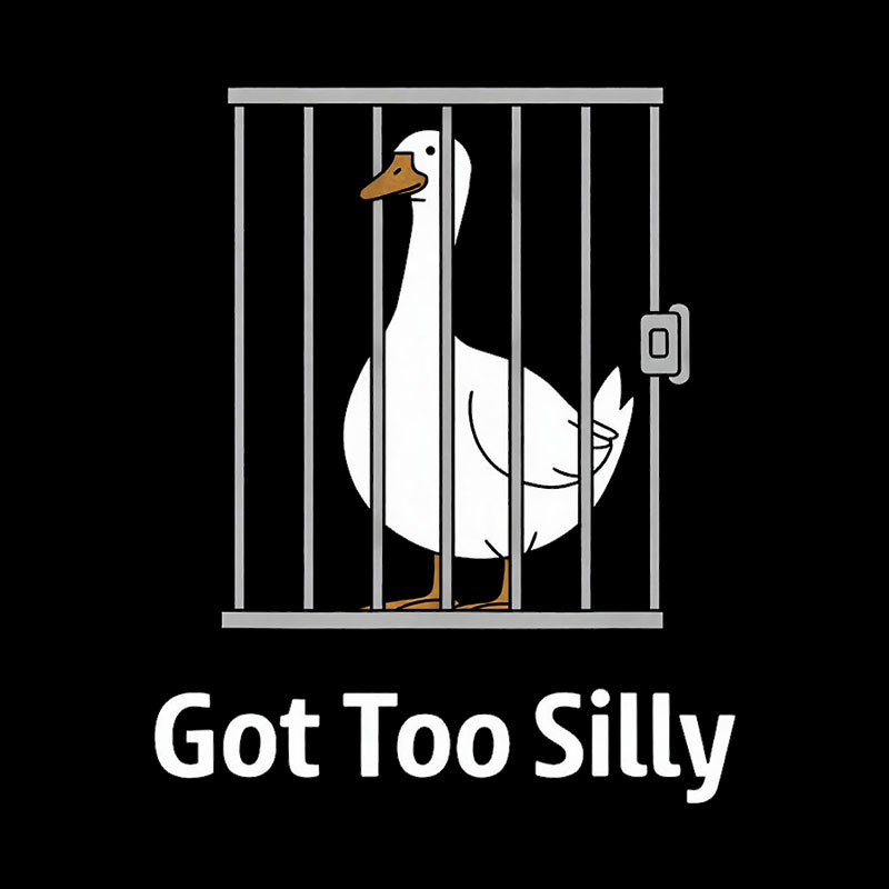 Got-Too-Silly Geek T-Shirt