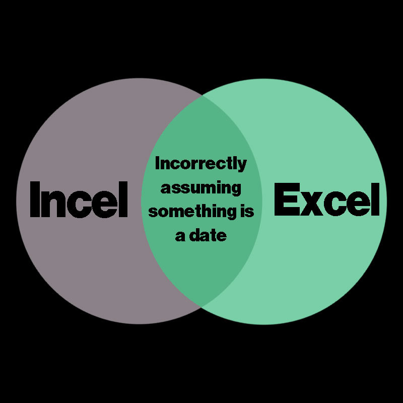 Excel Incel Geek T-Shirt
