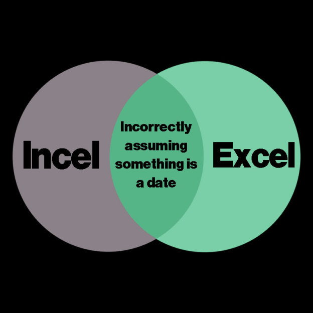 Excel Incel Geek T-Shirt