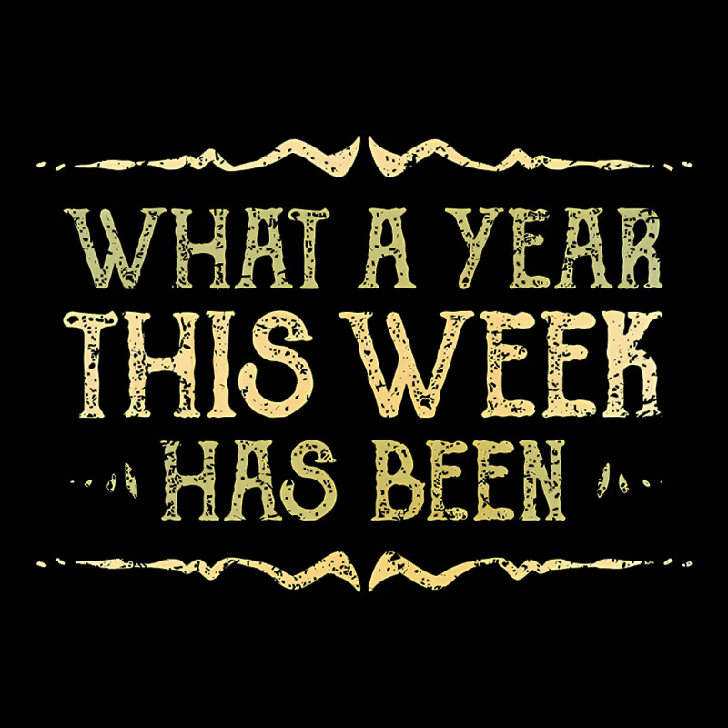 What A Year This Week Has Been Geek T-Shirt