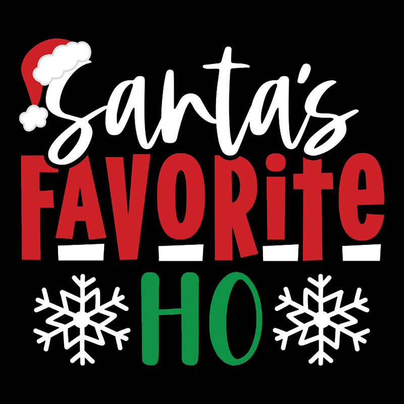 Santas Favourite Ho Funny Geek T-Shirt