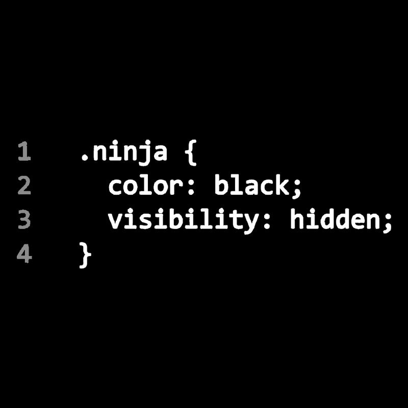 CSS Coding Ninja Geek T-Shirt